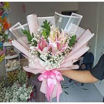 Lily Soft Touch